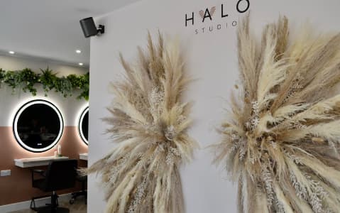 Halo Studio